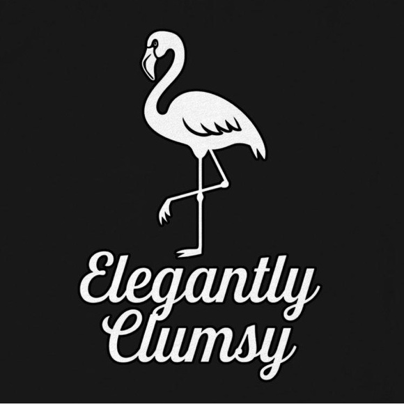clumsyflamingos